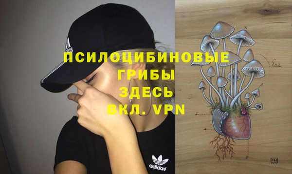 соль курить ск Абаза