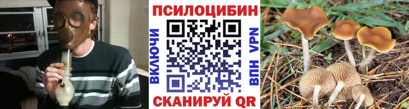 Галлюциногенные грибы прущие грибы  где купить наркоту  Новая Усмань 